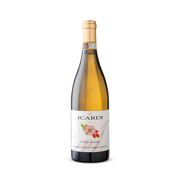 Moscato d'Asti 2023 BIO DOCG - Icardi